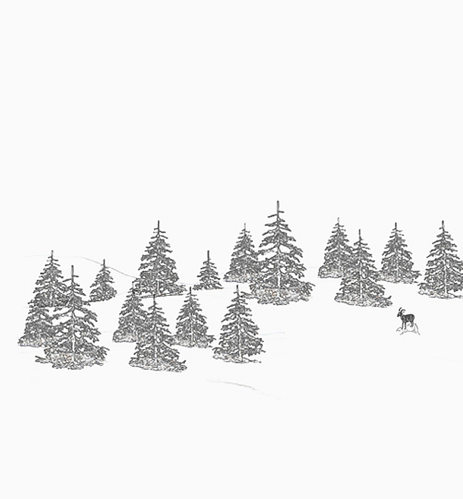 特集メインイメージ