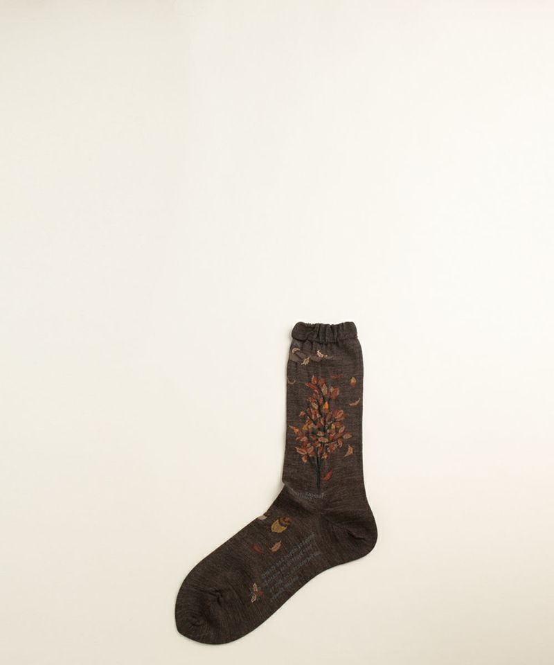 WIND & THE ACORN TREE SOCKS